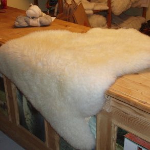 Råhvide lammeskind, shropshire